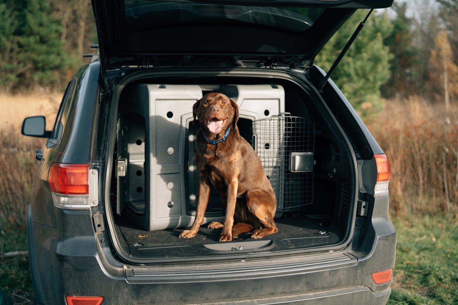2 Door Side & Front Entry Dog Kennel | Space-Saving SUV Travel Crate - Image 4